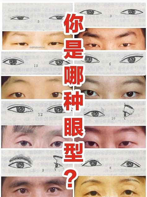 眼睛類型男|面相好不好？一半看眼睛！最全眼型圖解